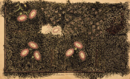 Ursula Reichart aus der Serie Metamorphose Ursula Reichart - Malerei und Zeichnung