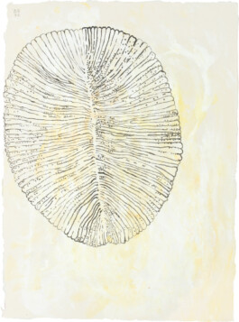 Ursula Reichart Physicum Ursula Reichart - Malerei und Zeichnung