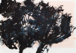 Ursula Reichart: Verwandlung - 2014 - 21 x 29,7 cm - Tusche, Gouache auf Papier Ursula Reichart - Malerei und Zeichnung