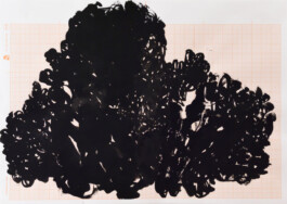 Ursula Reichart: Verwandlung - 2014 - 21 x 29,7 cm - Tusche, Gouache auf Papier Ursula Reichart - Malerei und Zeichnung